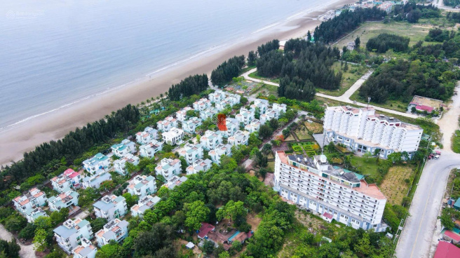 Eureka Linh Trường